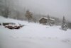 Jeep in Snow-sm.jpg