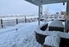 2021-01-29 07.44.28 Desert Fox snow.jpg