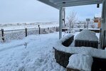 2021-01-29 07.44.28 Desert Fox snow.jpg