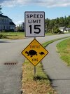 Speed Limit Sign with Turtle Xing.jpg