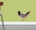 Chicken on Wall.jpg
