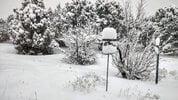 Snow on bird feeder_20240108ed_085912327.jpg
