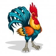 Rooster6655