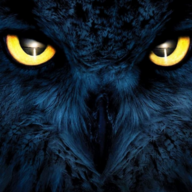 The Blue Owl