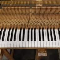Piano Wood
