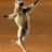 Dancing Lemur