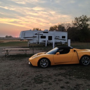 Our Roadster "Saffron"