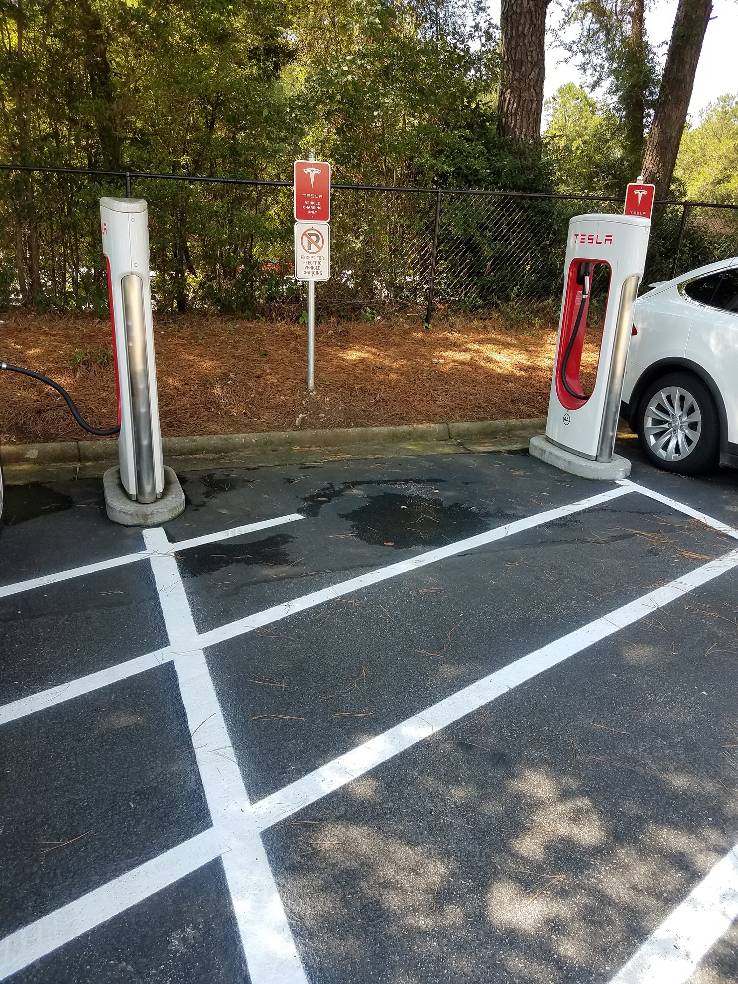 Tesla_Parking