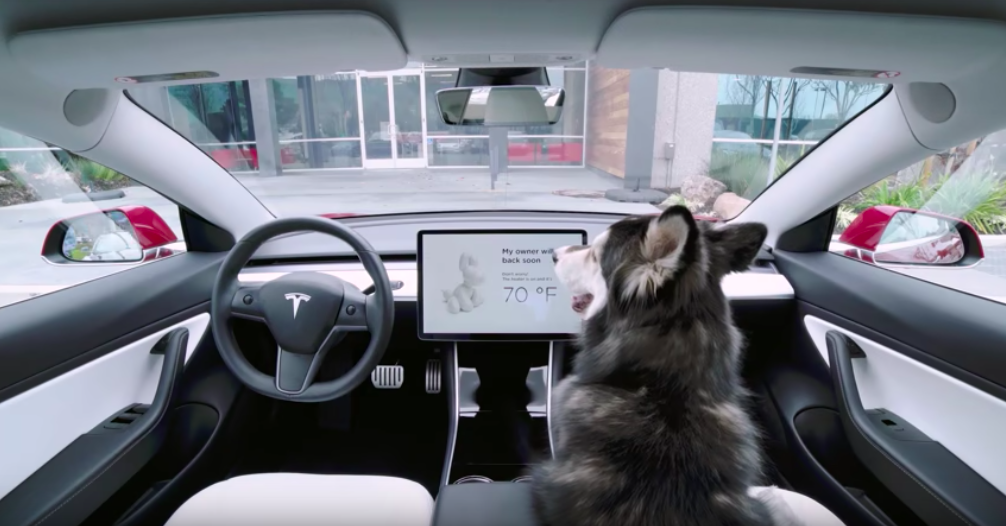 Tesla Fixing 'Dog Mode' Software Bug - Tesla Motors Club